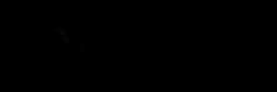 Die Presse Logo